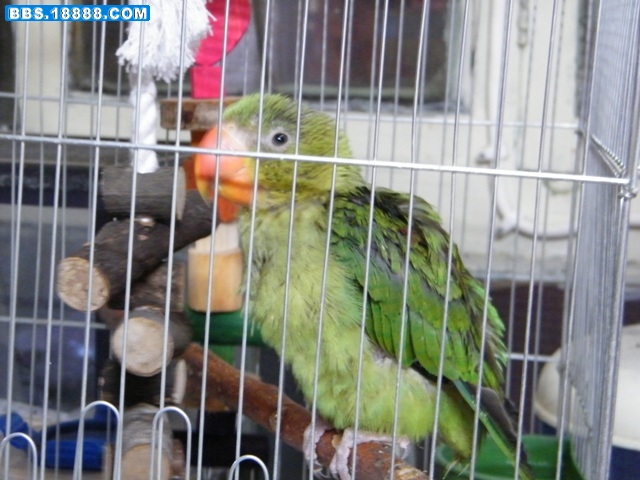 DSCF0269.JPG