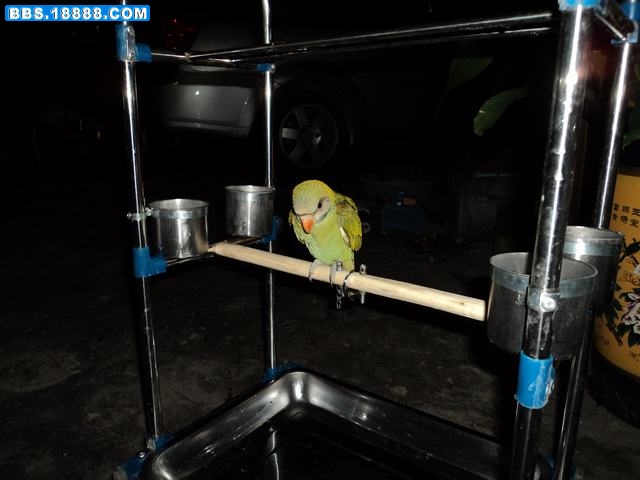 DSC00111.JPG
