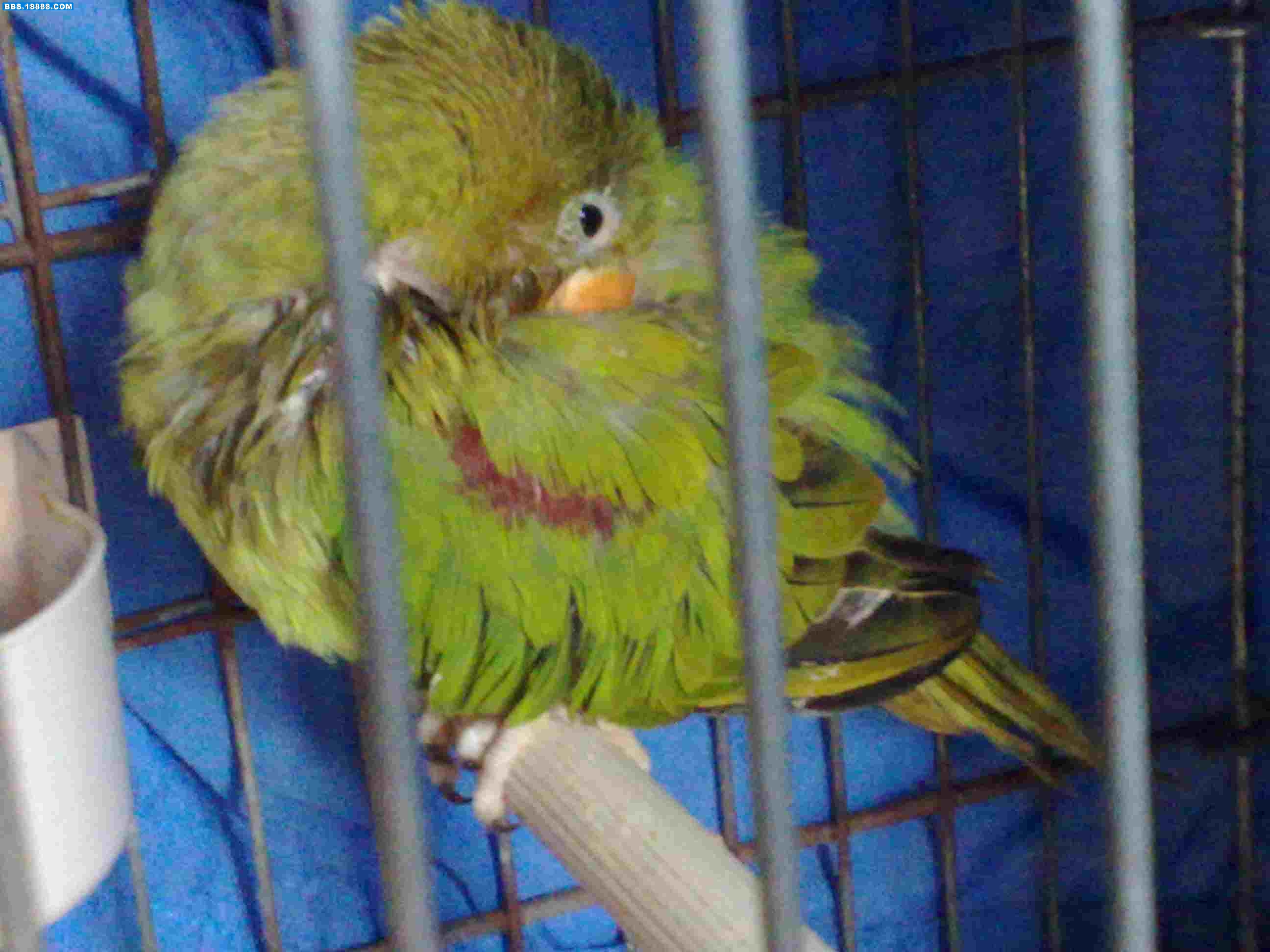 20100523090.jpg