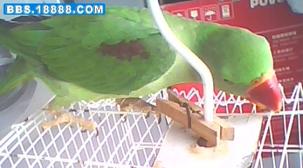 照片 015.jpg
