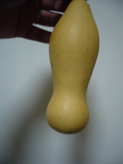 P1150844_调整大小.JPG