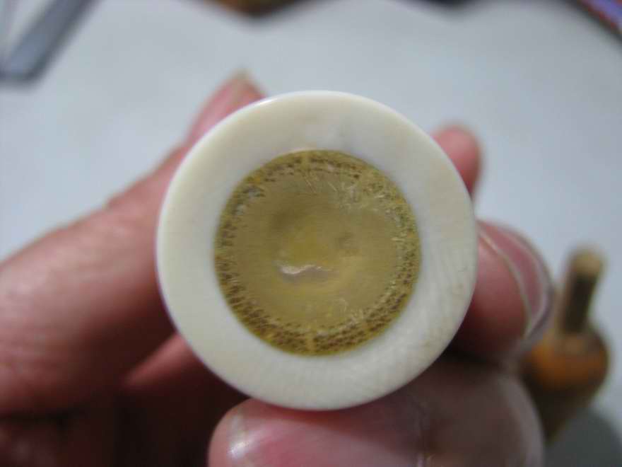 照片 520.jpg