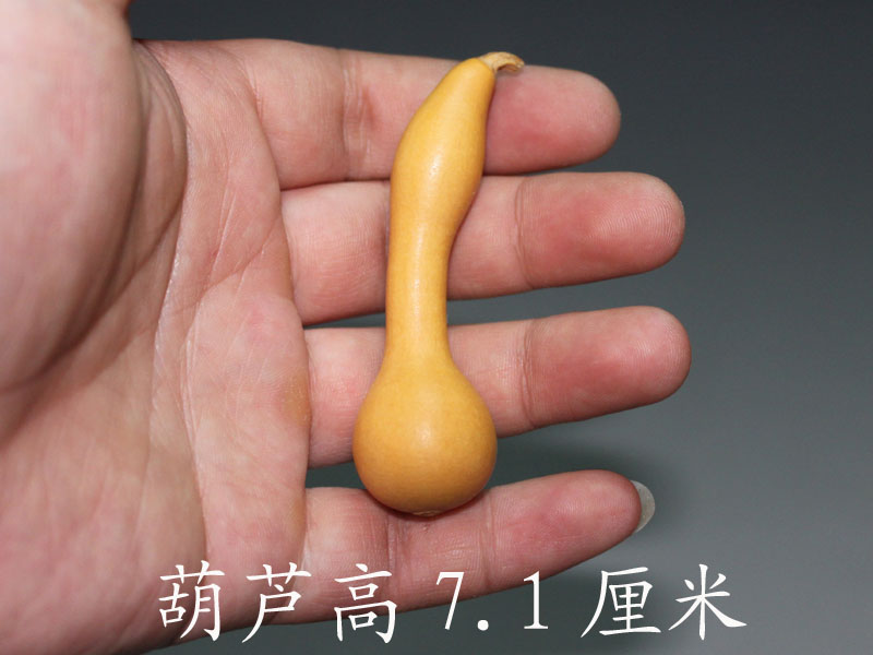 154.jpg