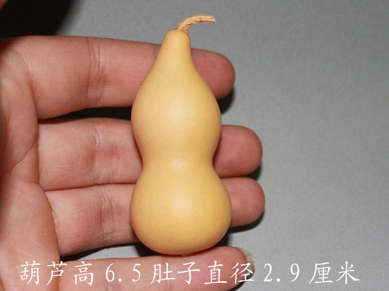 IMG_1867 拷贝.jpg