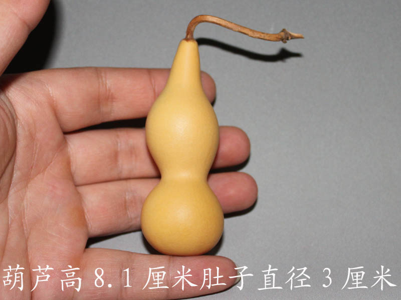 IMG_1876 拷贝.jpg