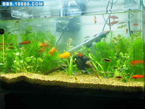 DSCF2721.jpg