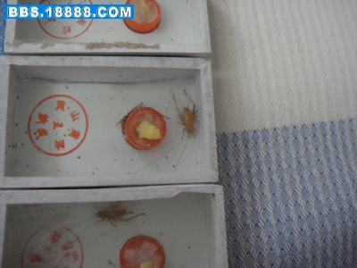 一群小伙子.jpg