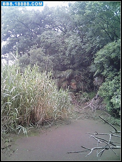 Img0027_nEO_IMG.jpg