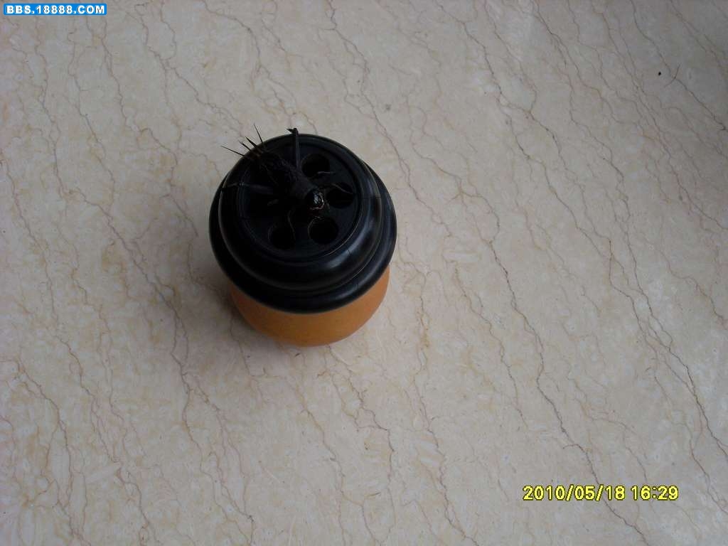 SL371218.JPG