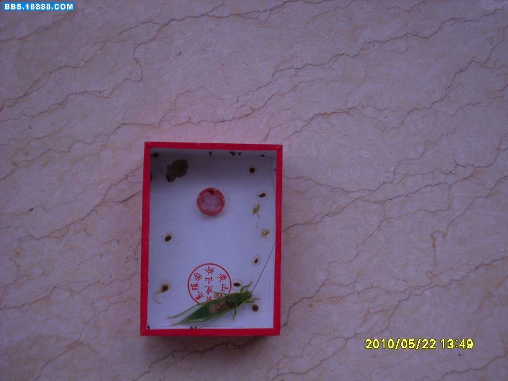SL371238.JPG