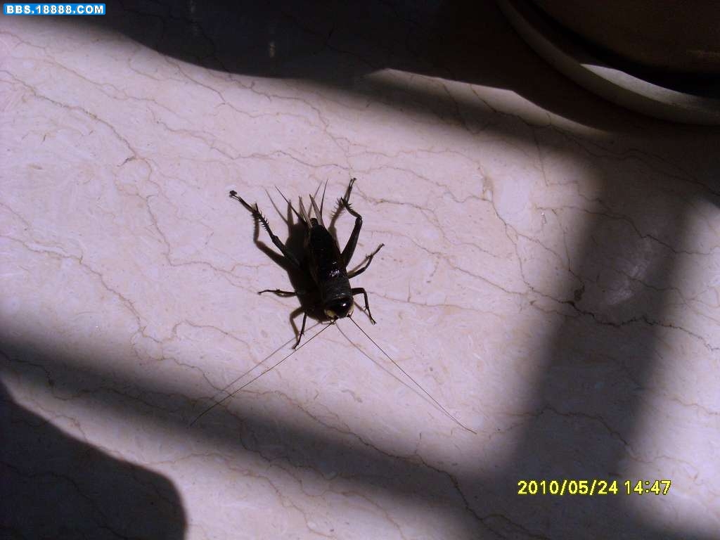 SL371308.JPG