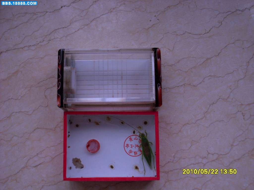 SL371243.JPG