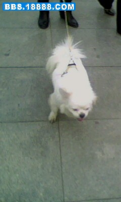 IMG0133A.jpg