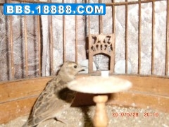 cimg0898_副本.jpg