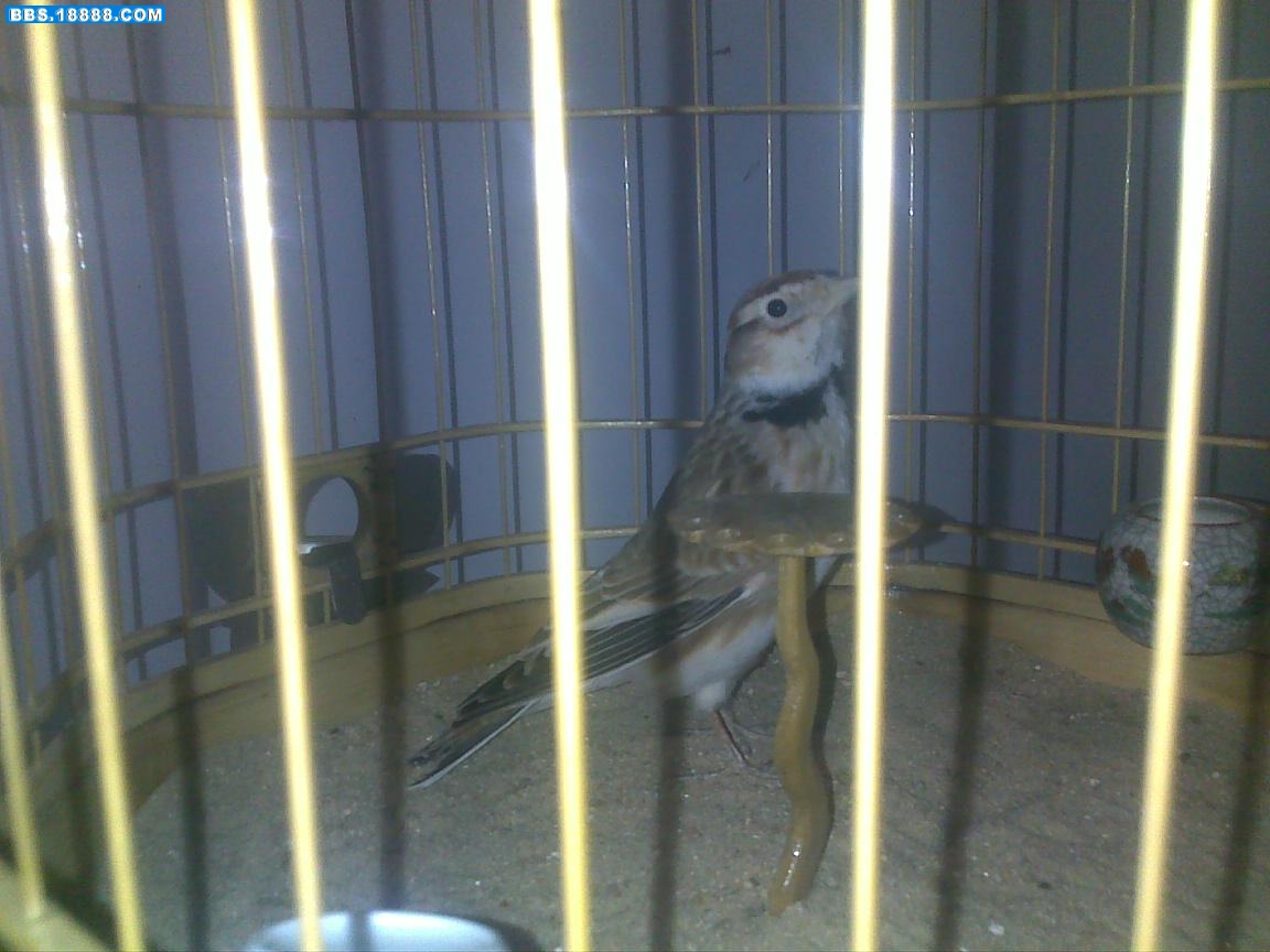 20100514139.jpg