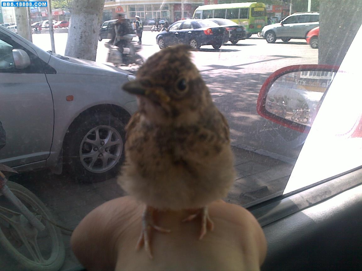 20100510107.jpg