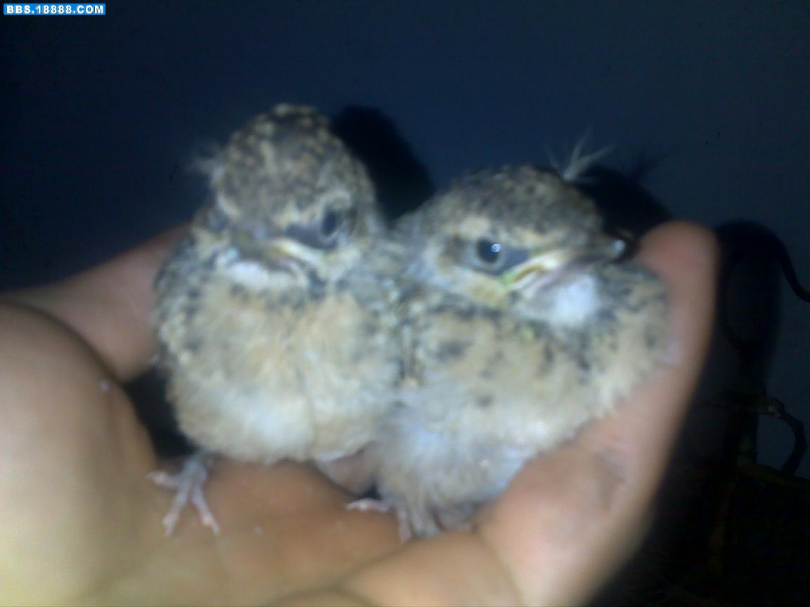 20100507074.jpg