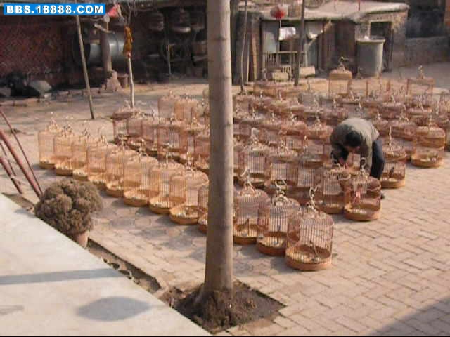 暴风截屏20100523002711.jpg