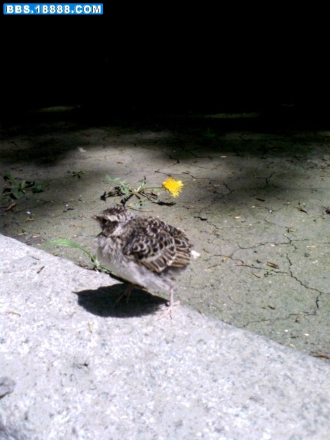 img021.jpg