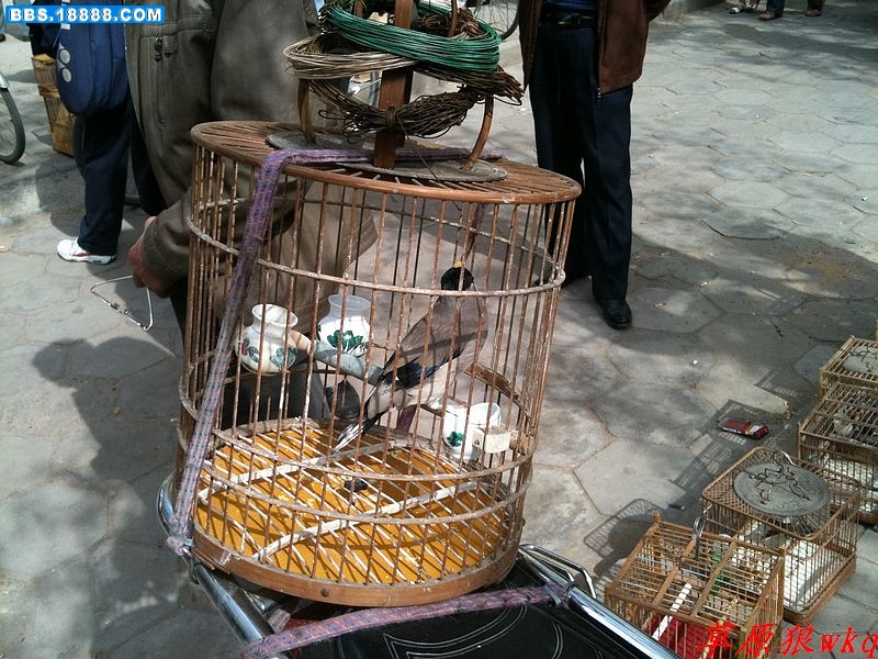 nEO_IMG_IMG_0018.jpg