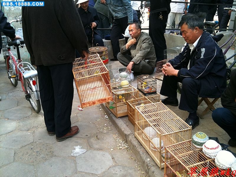 nEO_IMG_IMG_0065.jpg