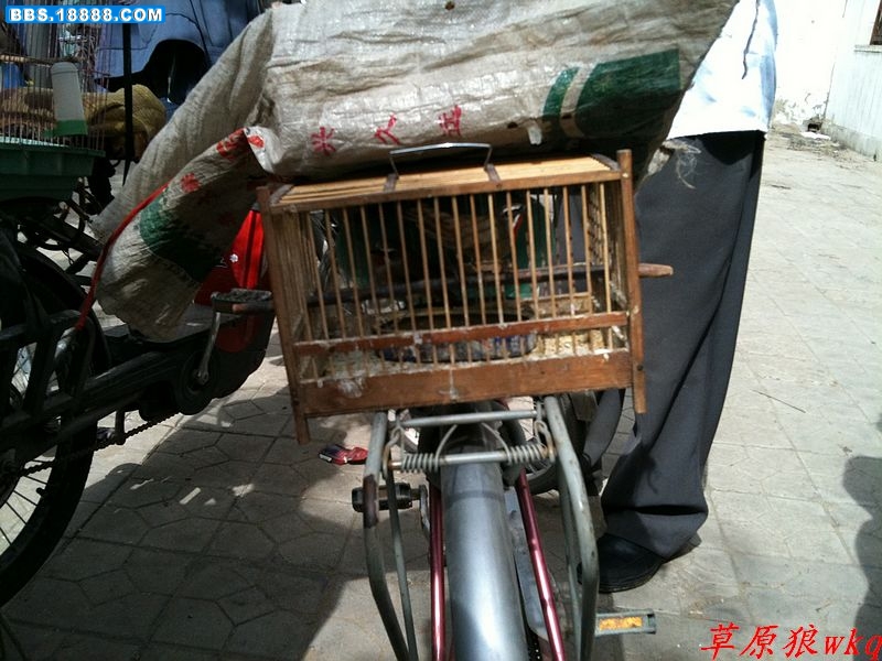 nEO_IMG_IMG_0055.jpg