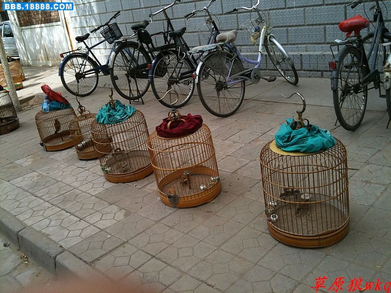 nEO_IMG_IMG_0032.jpg