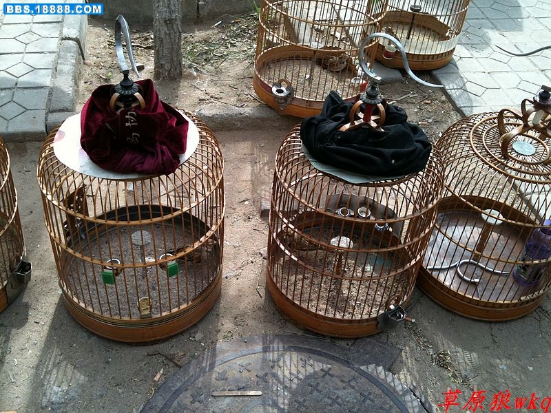 nEO_IMG_IMG_0057.jpg