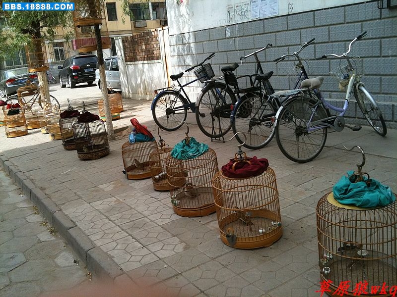 nEO_IMG_IMG_0031.jpg