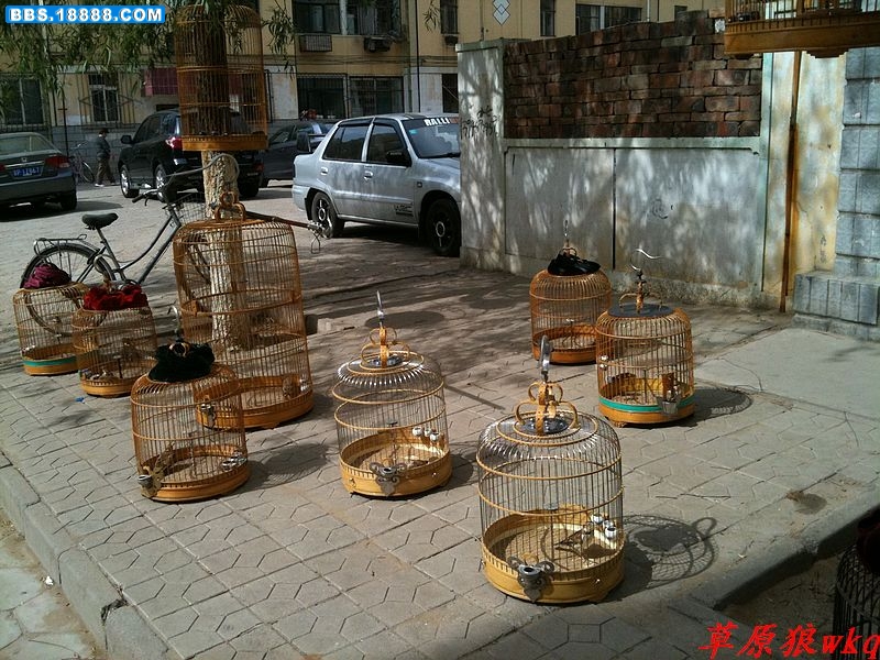 nEO_IMG_IMG_0040.jpg