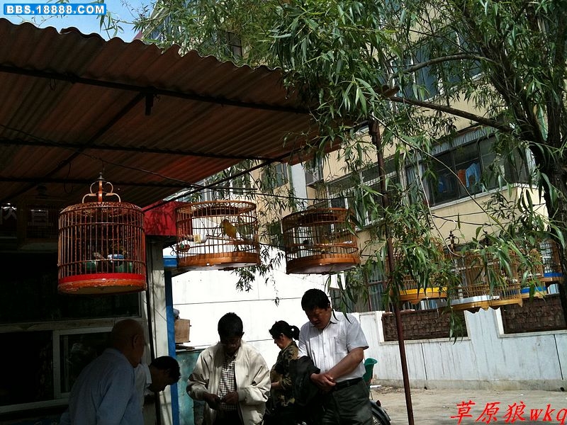 nEO_IMG_IMG_0052.jpg