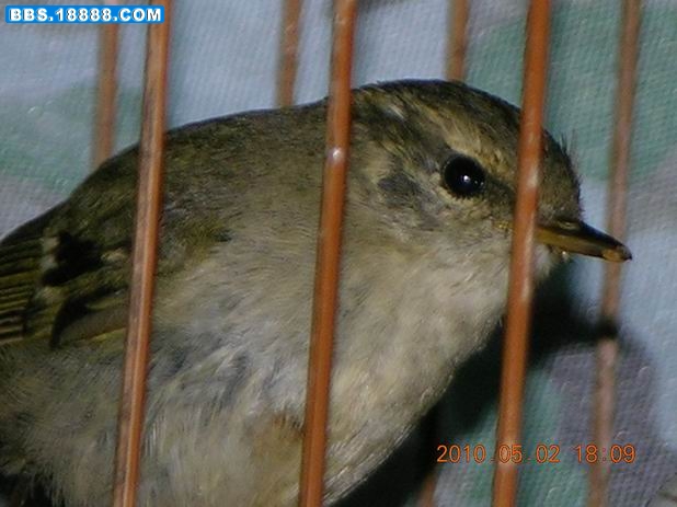 DSCN7382.JPG