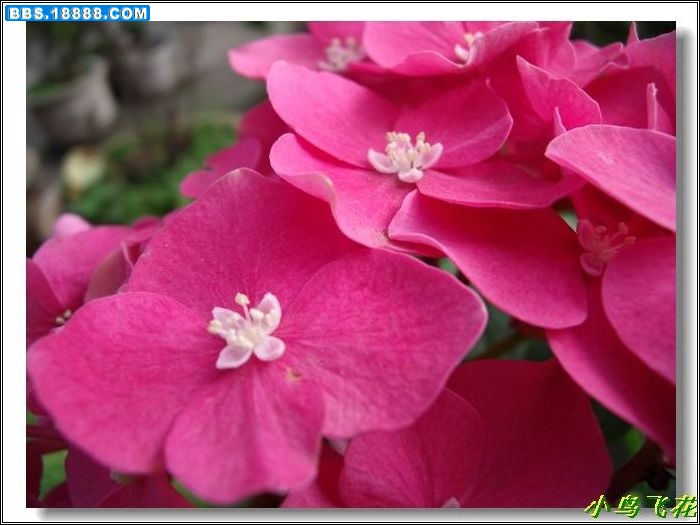 DSCF4239.jpg