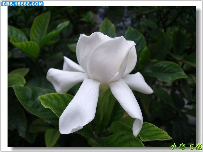 DSCF4288.jpg