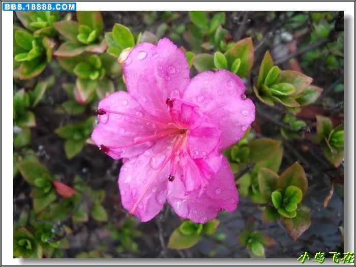 DSCF4221.jpg