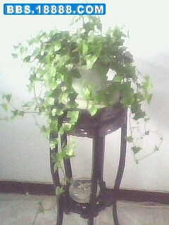 IMG0200A_副本.jpg