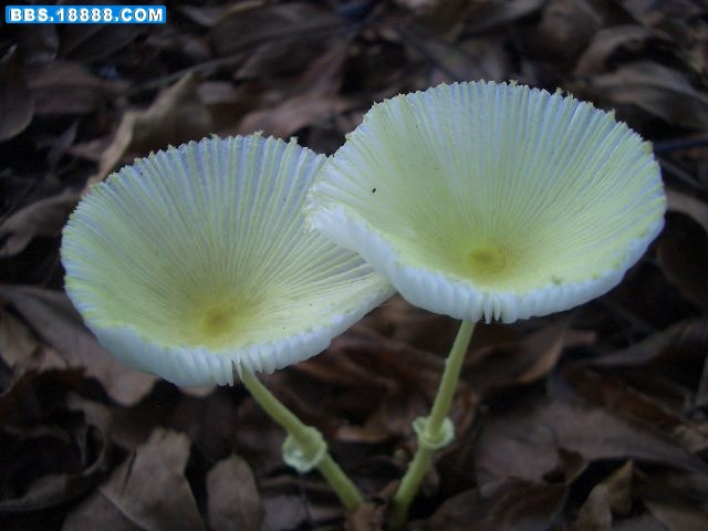 CIMG8442.JPG