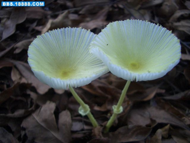 CIMG8438.JPG