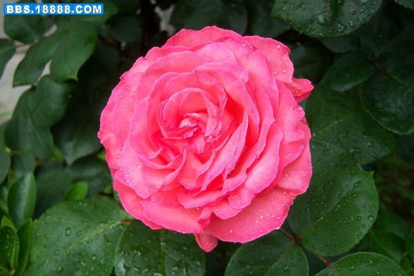 100_6638.JPG