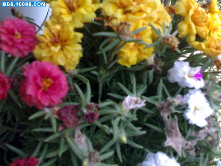 20100617197.jpg