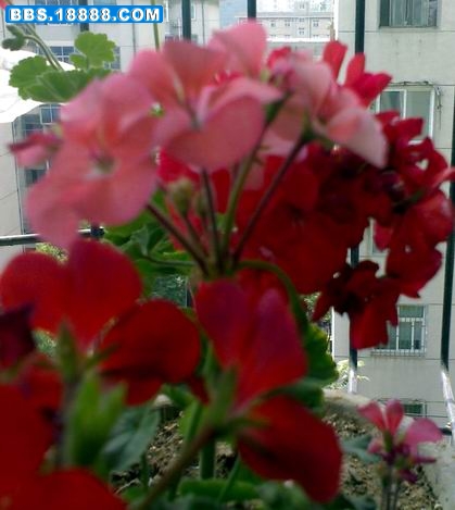 20100524179.jpg