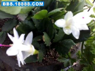 20100618199.jpg