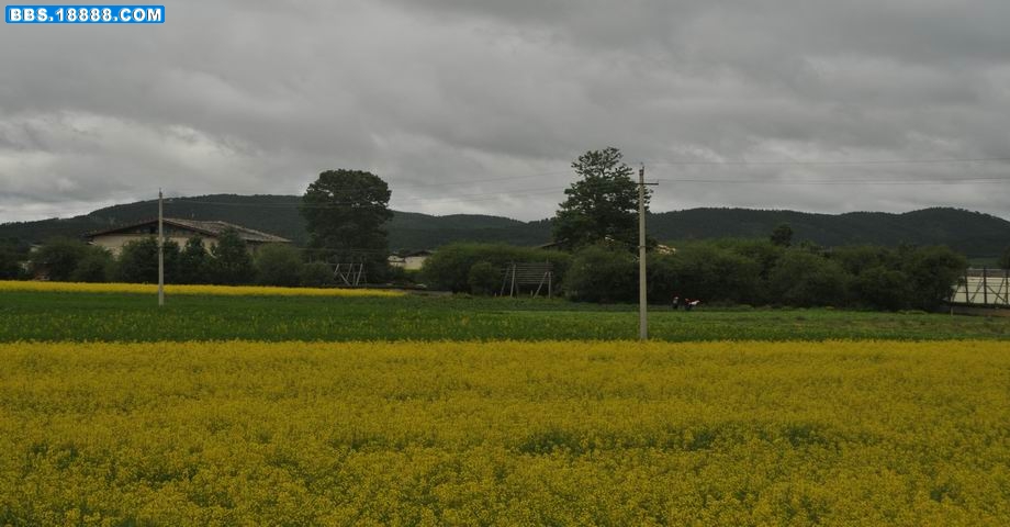调整大小 DSC_7841.jpg