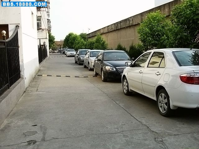 CIMG8801.jpg