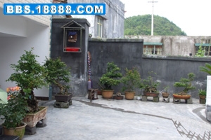 DSCF3187.jpg