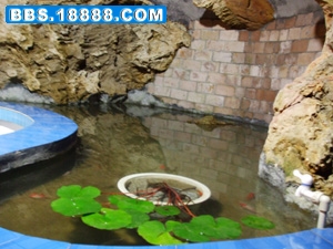 DSCF2677.jpg