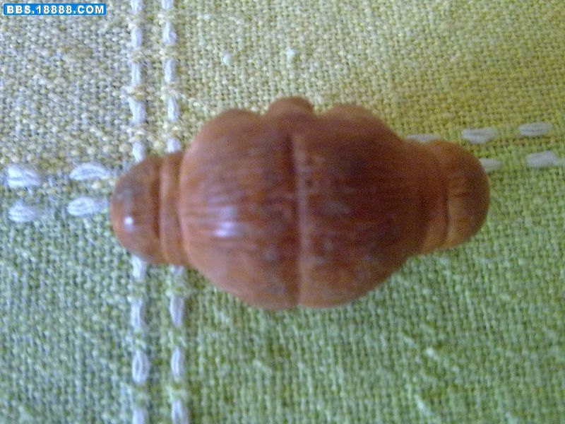照片 030.jpg