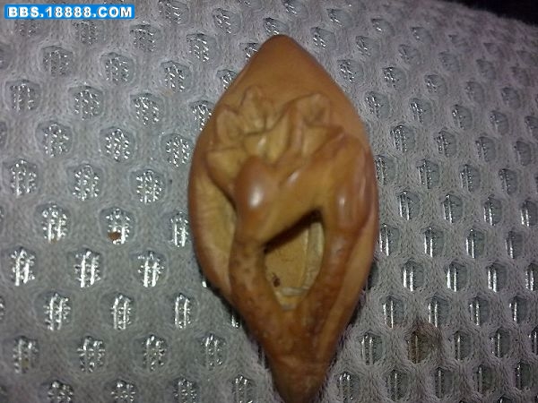 照片 018.jpg