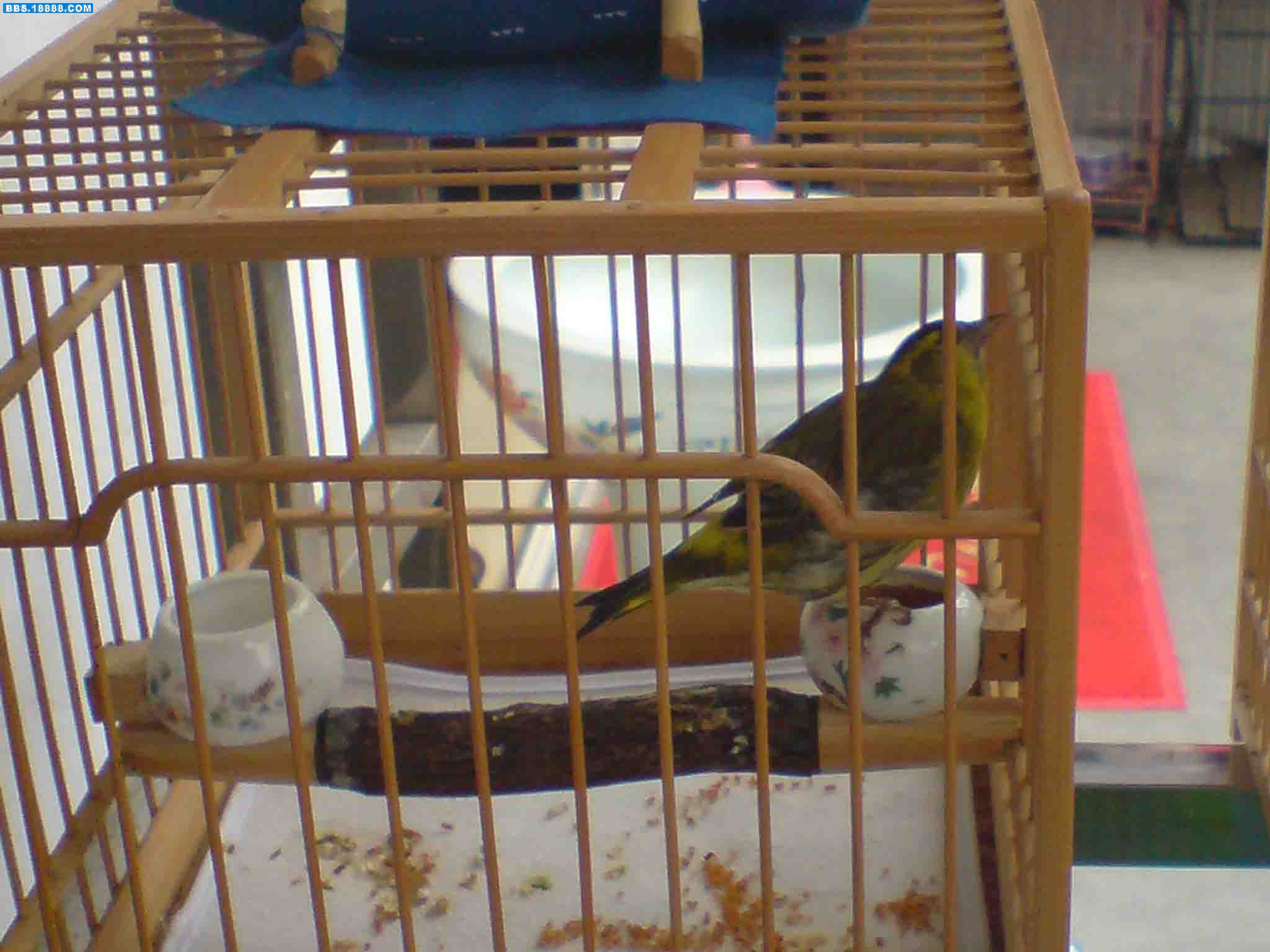 DSC010101.jpg