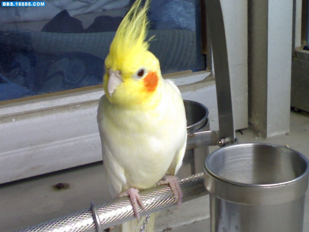 20100622014.jpg